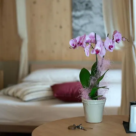 Il Geco In Arena Guest house